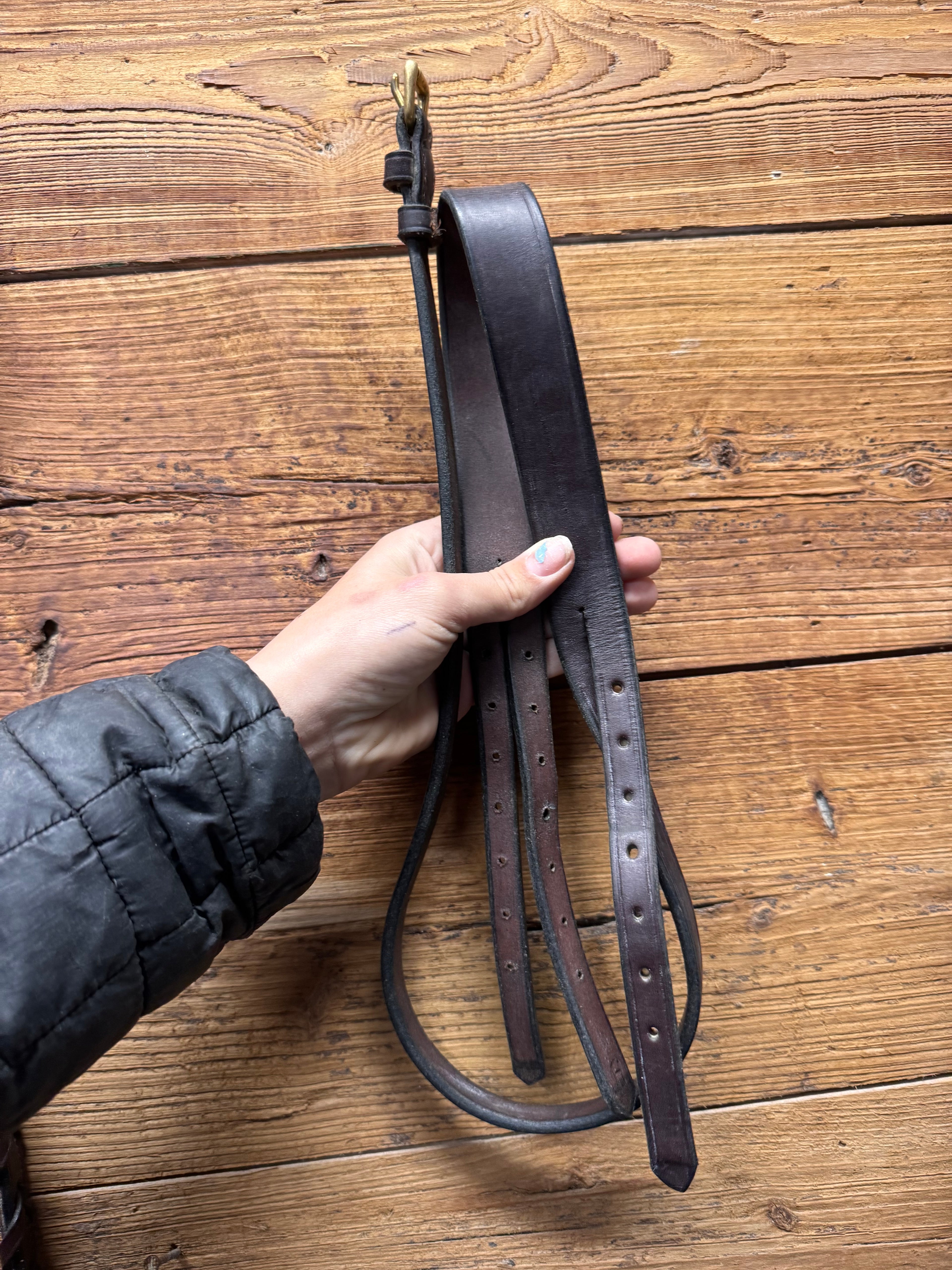 Brown Horse crown piece