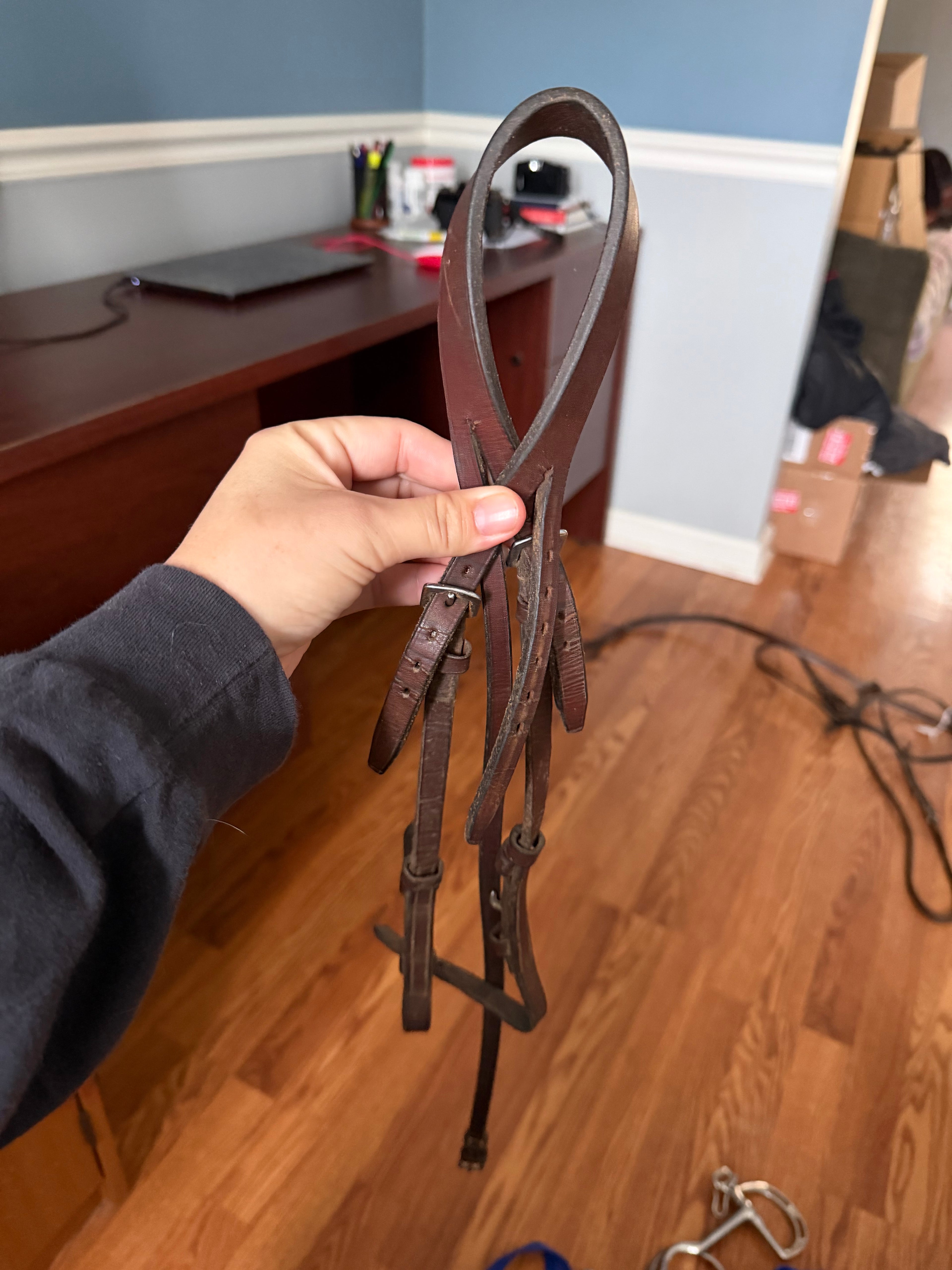 Brown pony crown piece