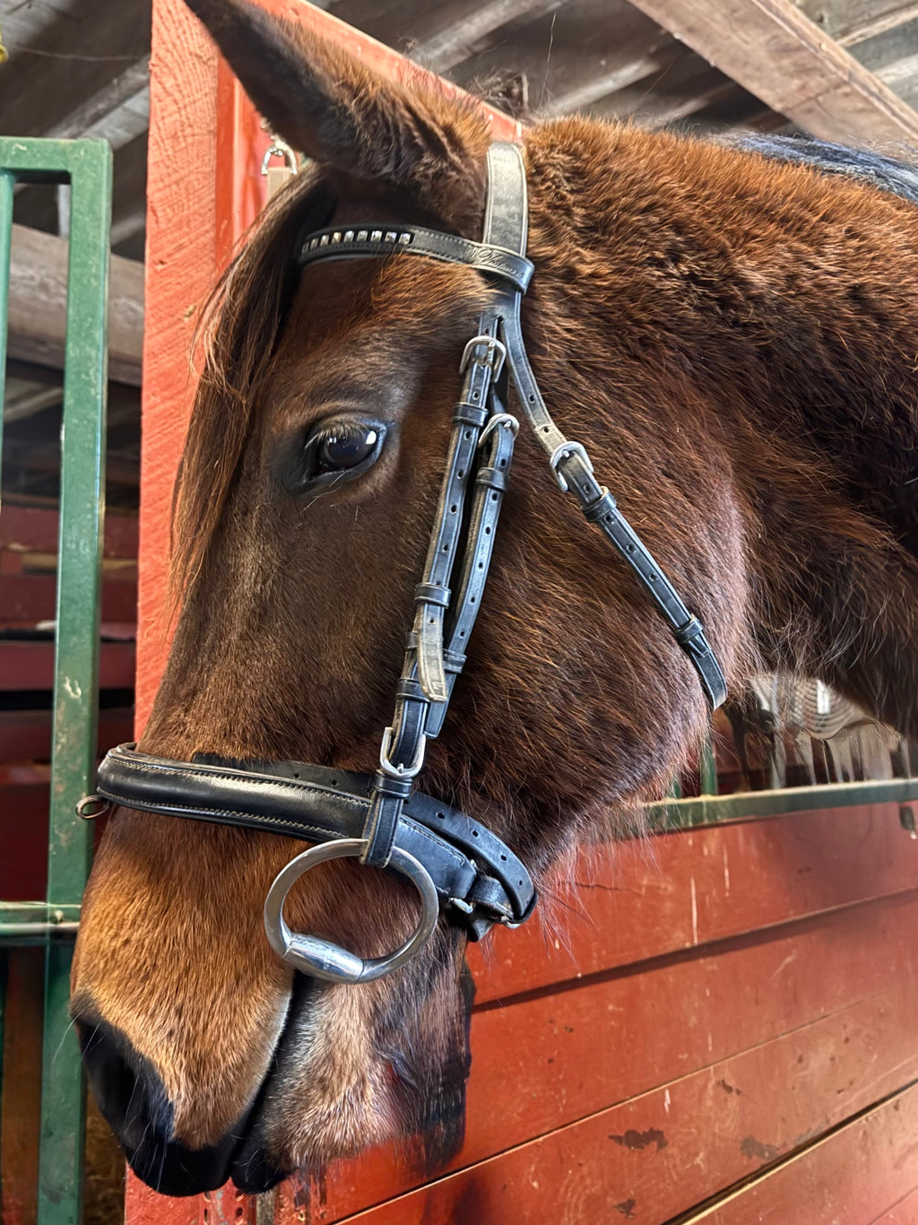Black dressage bridle FULL