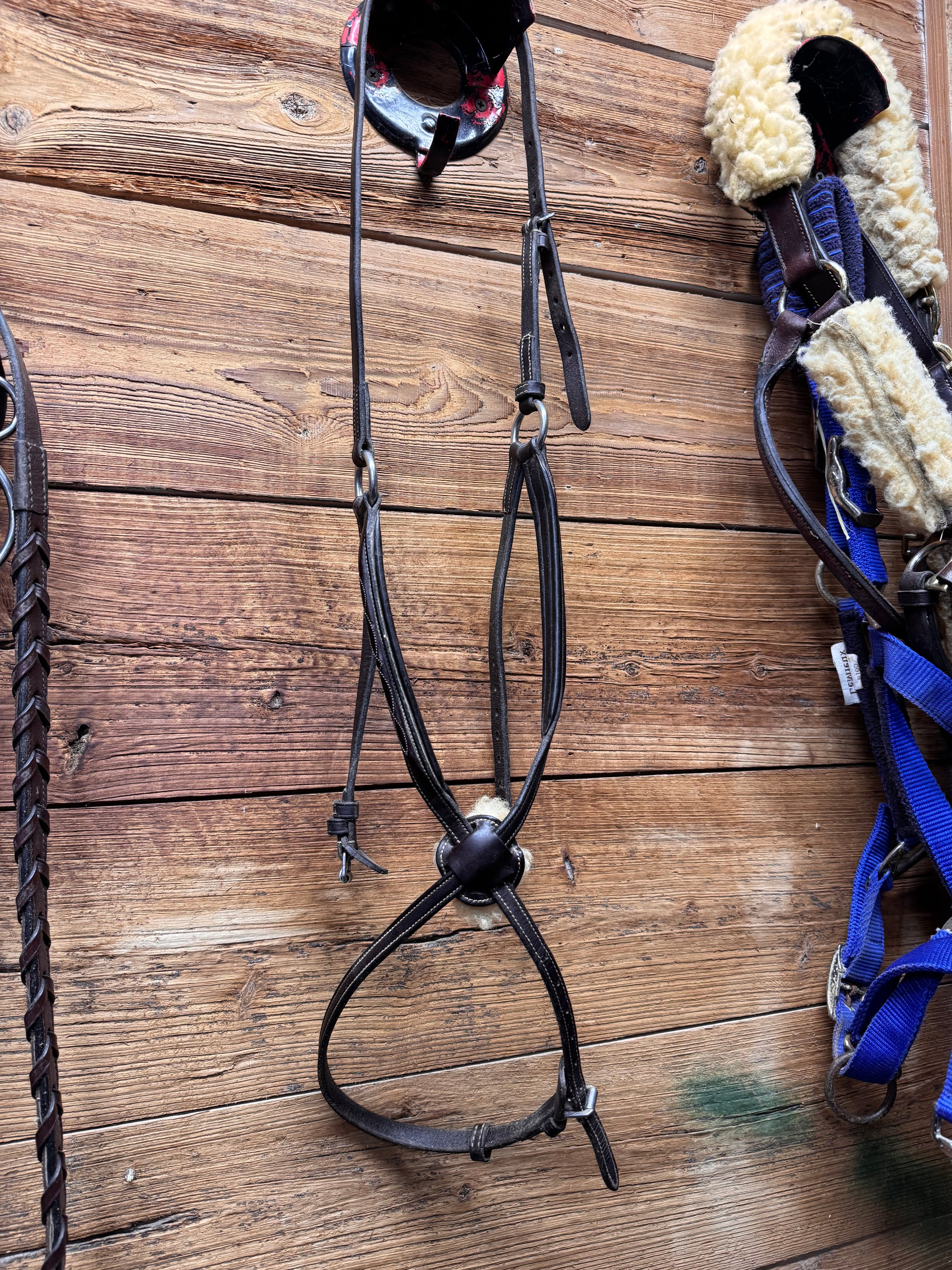 Brown leather figure 8 noseband fancy stitched