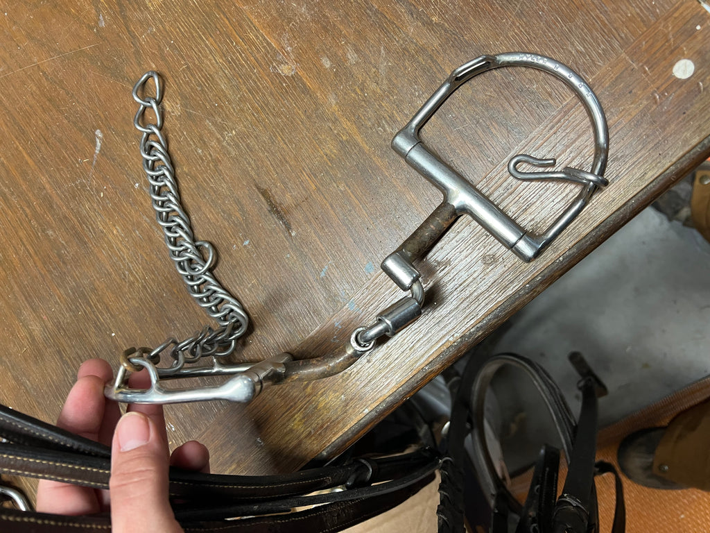 5" Myler Ported Dee ring with hooks, curb chain