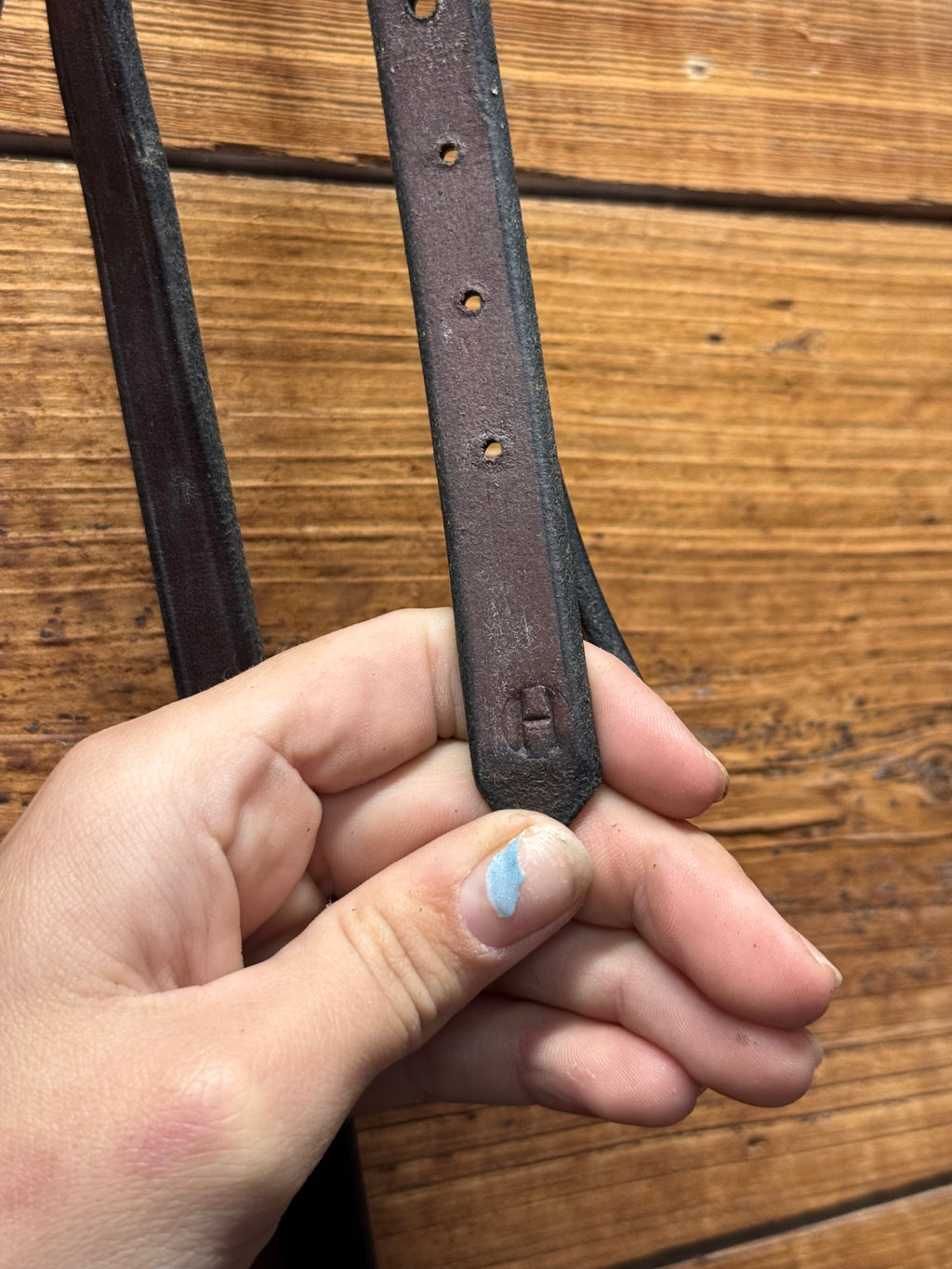 Brown Horse crown piece