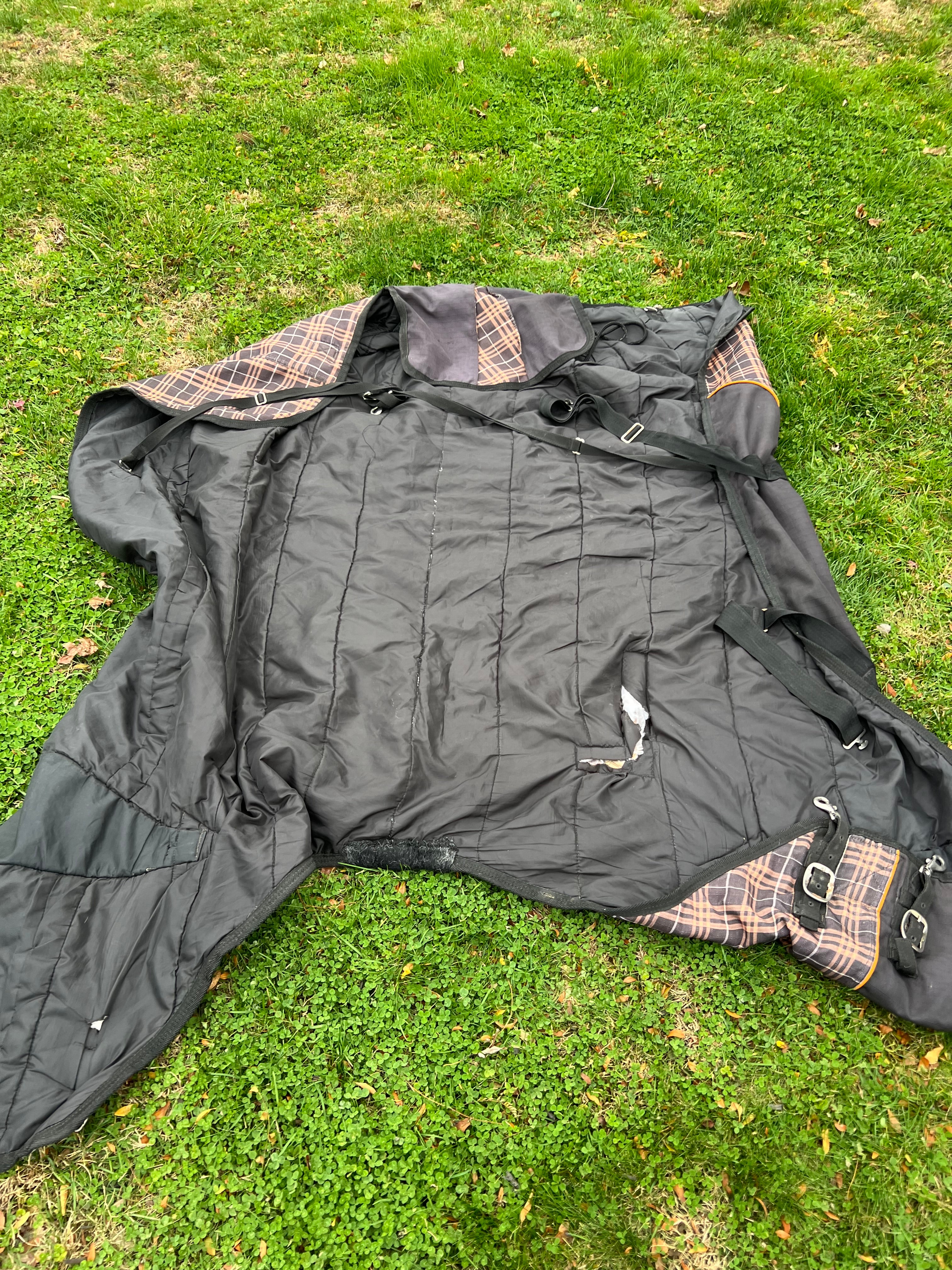 81" Jeffers mid-heavy turnout