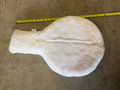 Lollipop half pad
