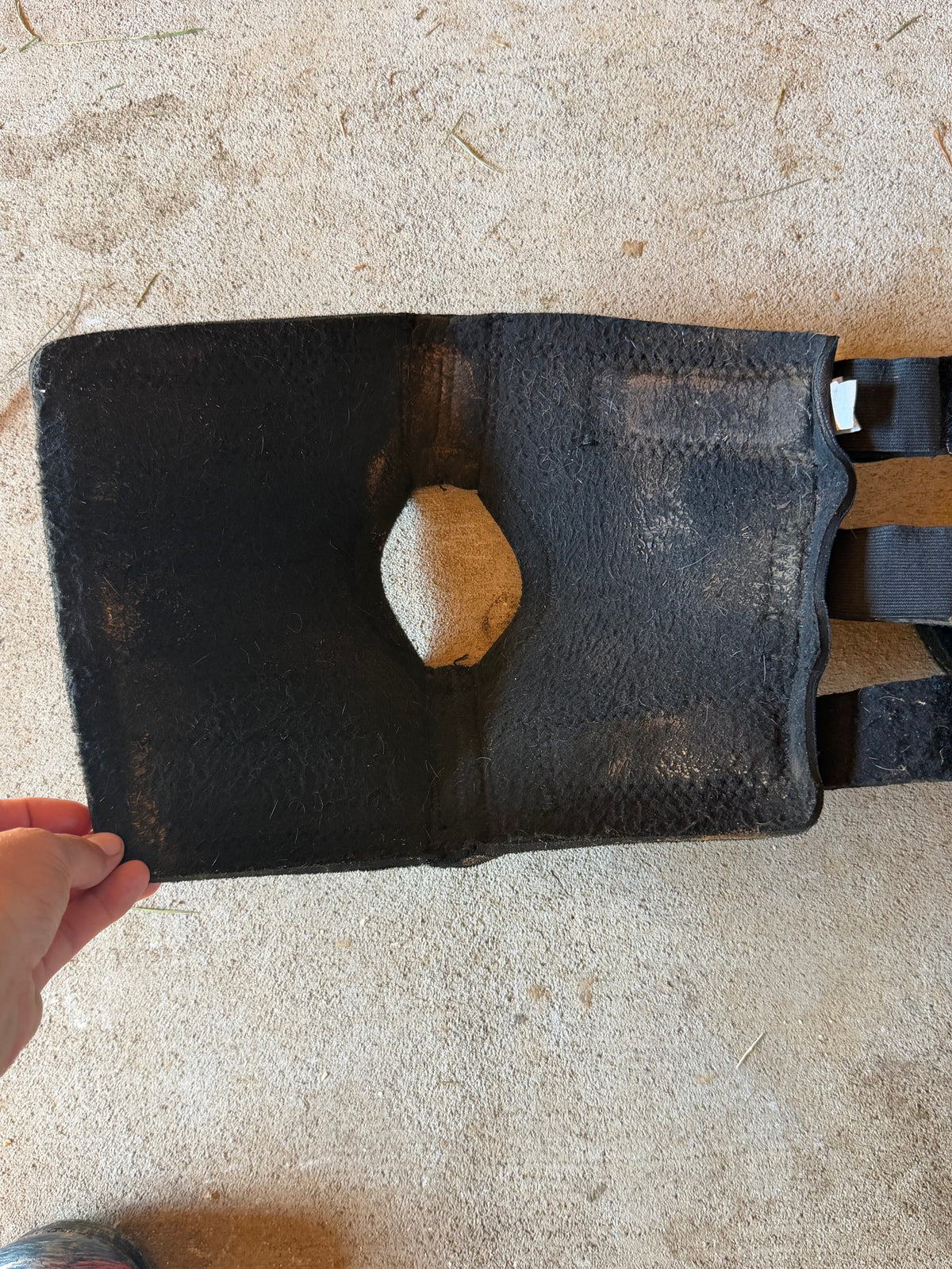 Back on track hock wrap medium single