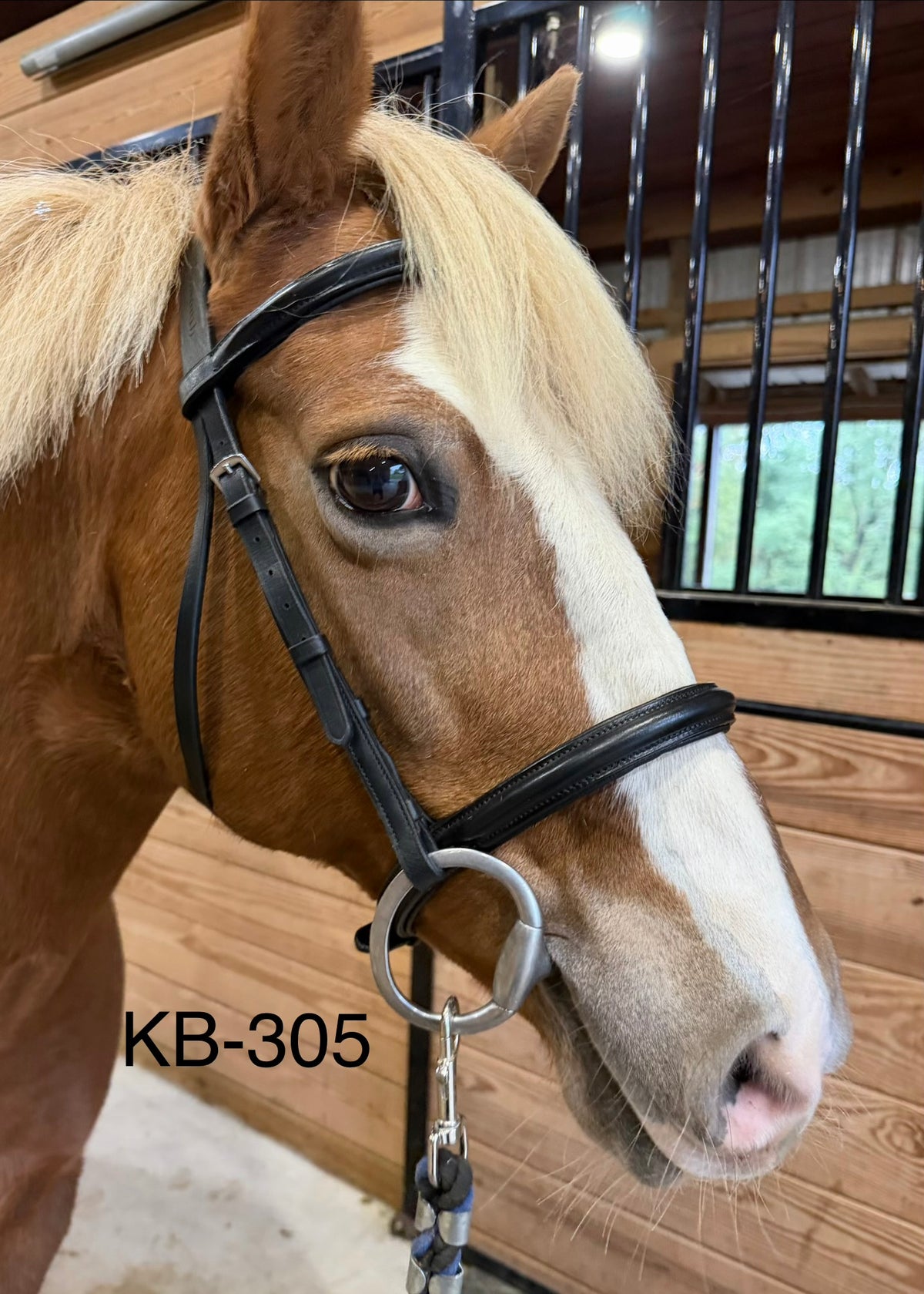 Plymouth Black bridle - Cob
