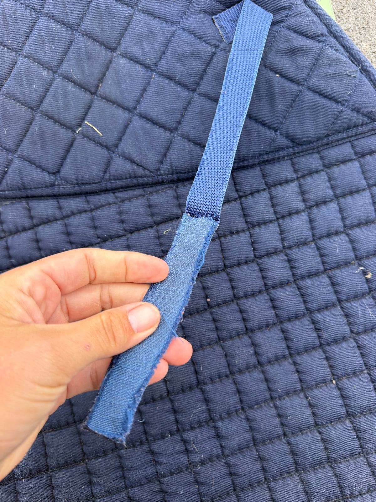 PRI English contoured saddle pad