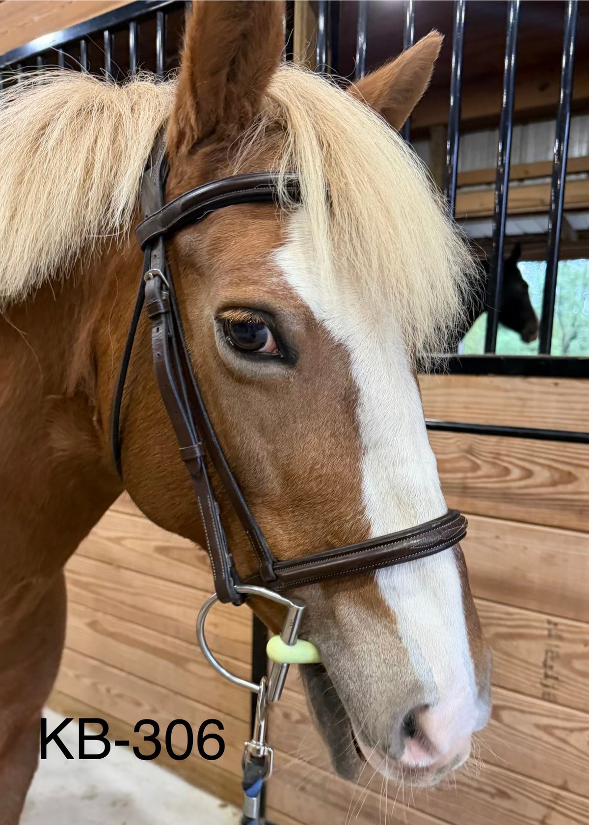 Monocrown brown Leather bridle - Cob