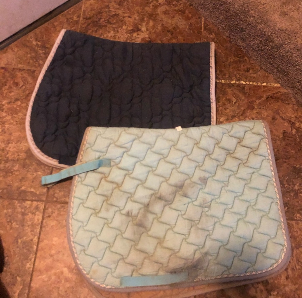 Roma bundle of 2 AP pad