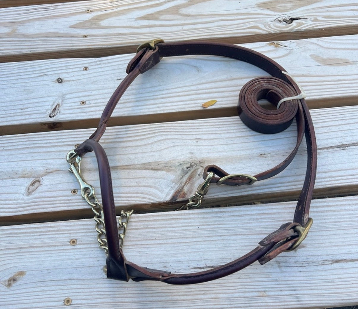 Brown leather steer show halter
