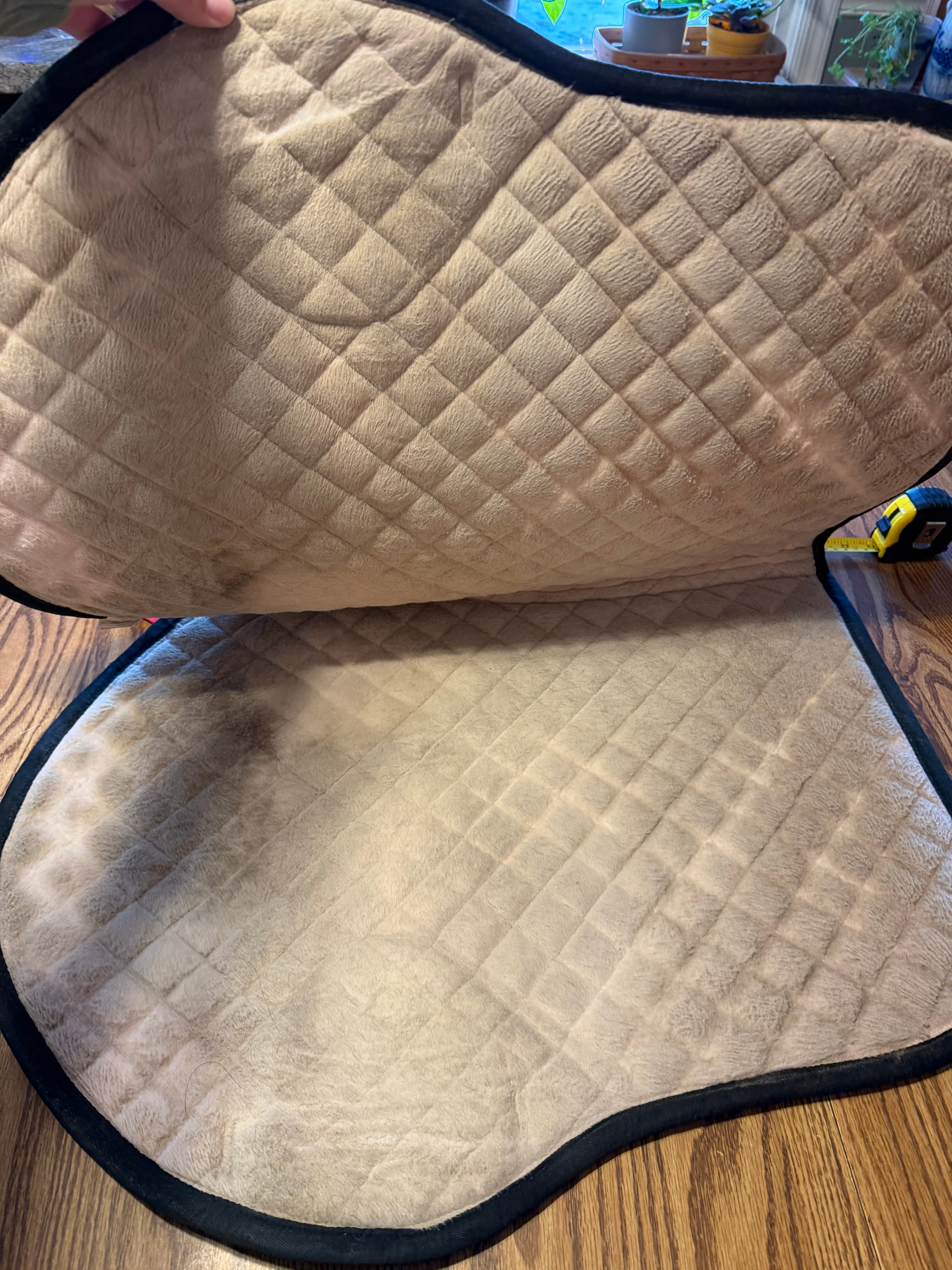 Professional equine close contact red pad