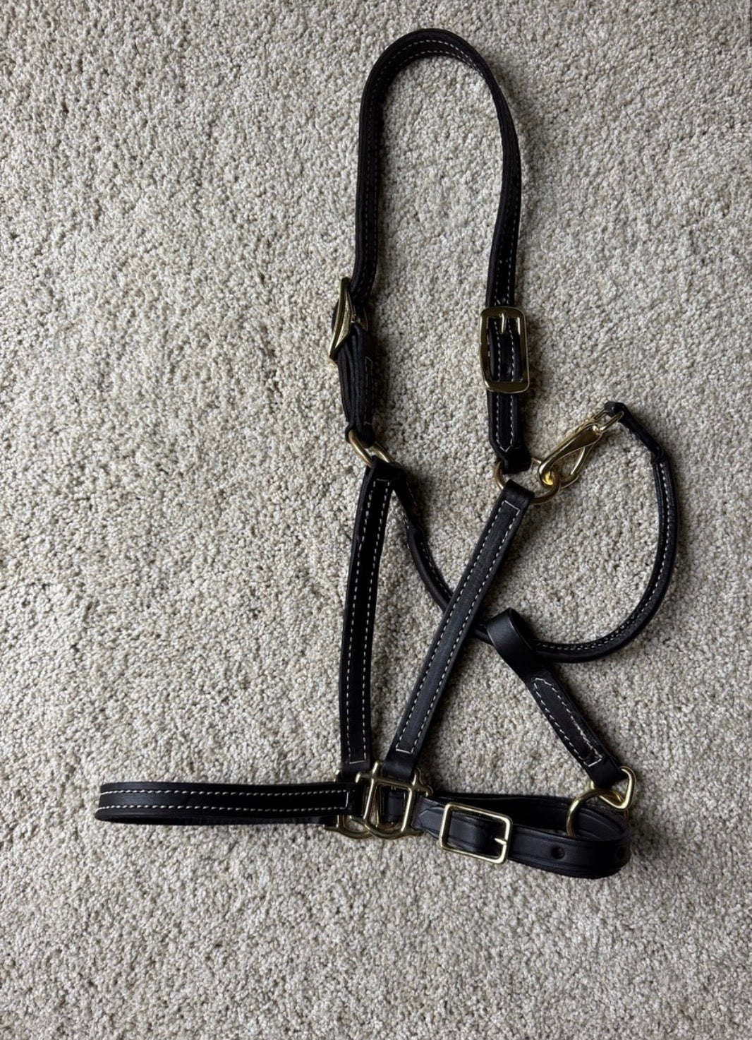 Amish made horse halter (dark brown 3/4”)