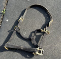 Black used halter pony/yearling
