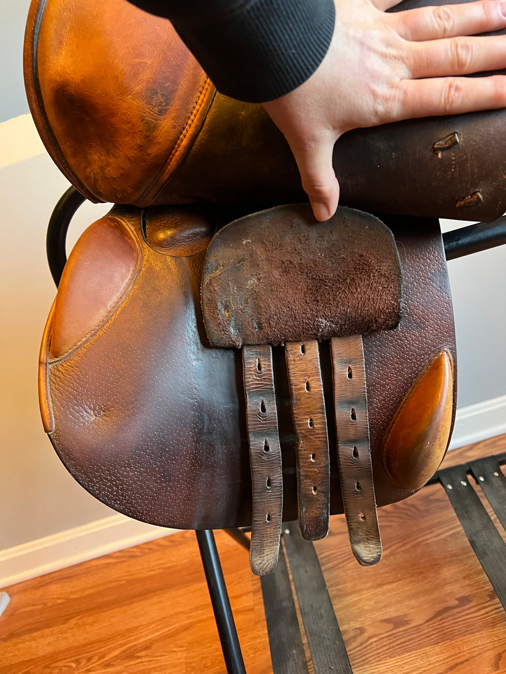 Prestige Appaloosa Michel Roberts 18”