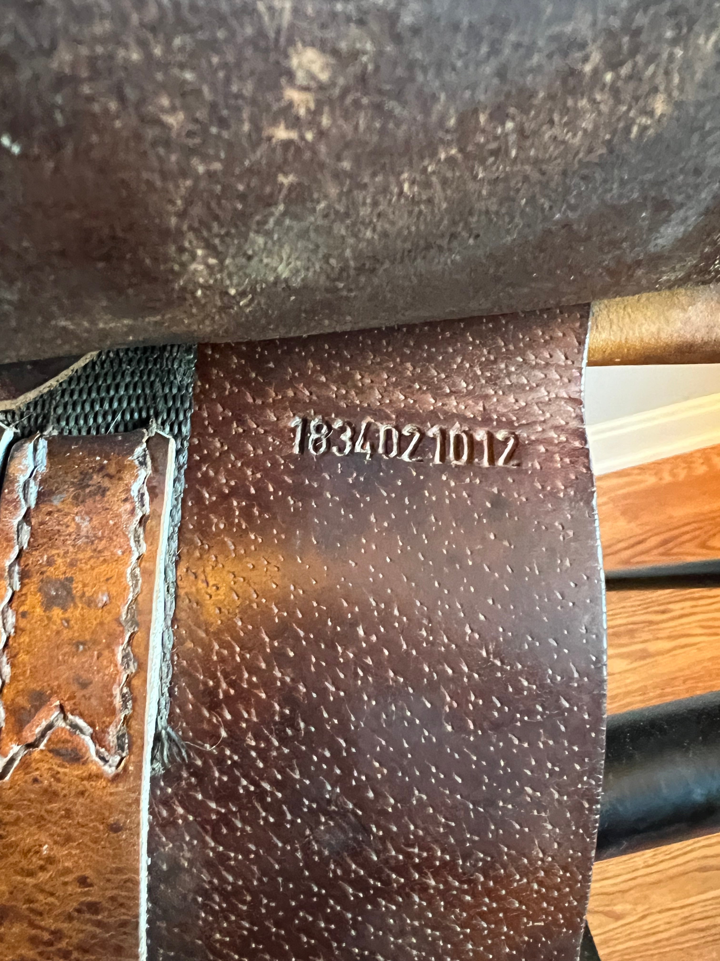 Prestige Appaloosa Michel Roberts 18”