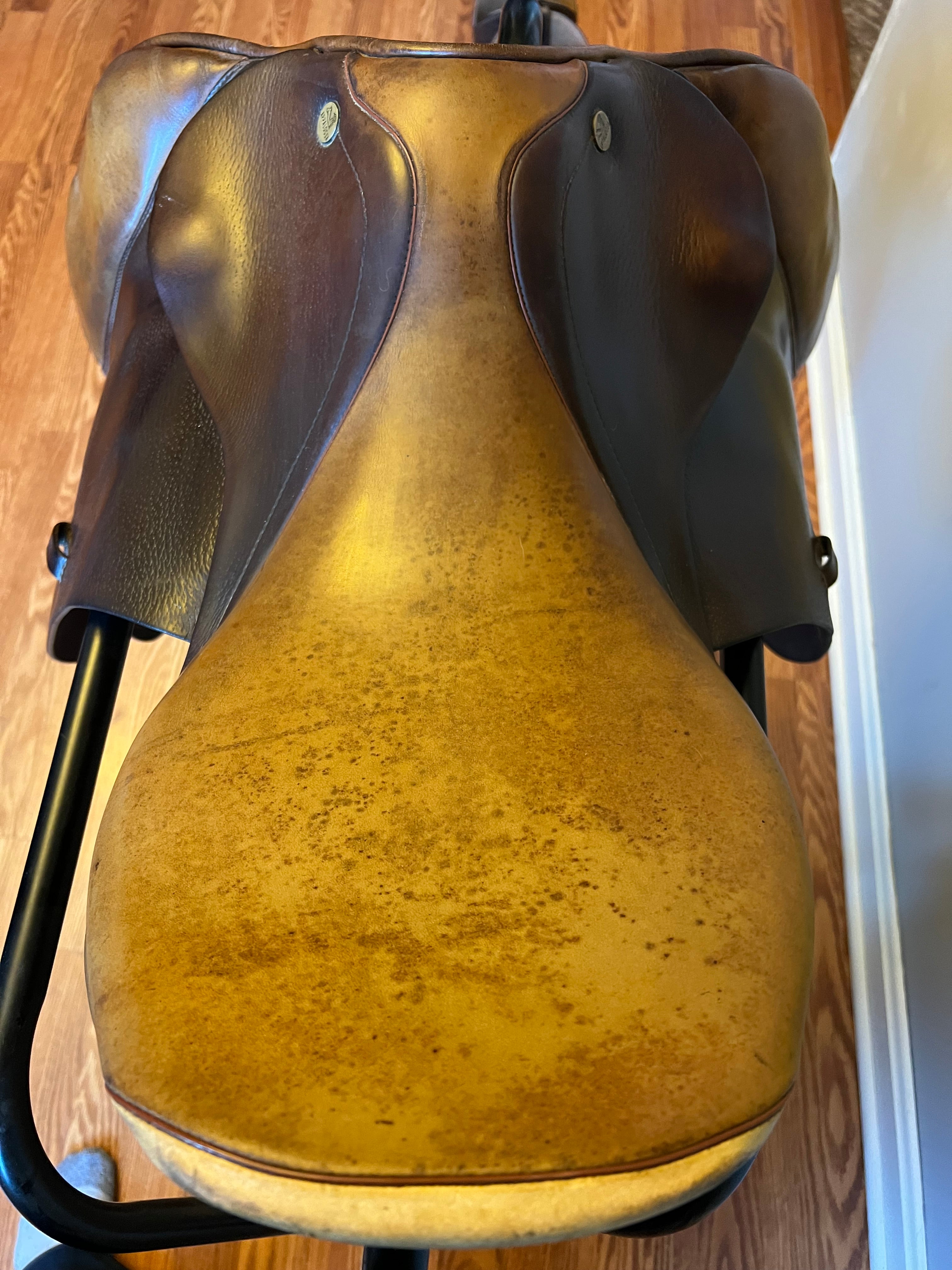 Prestige Appaloosa Michel Roberts 18”