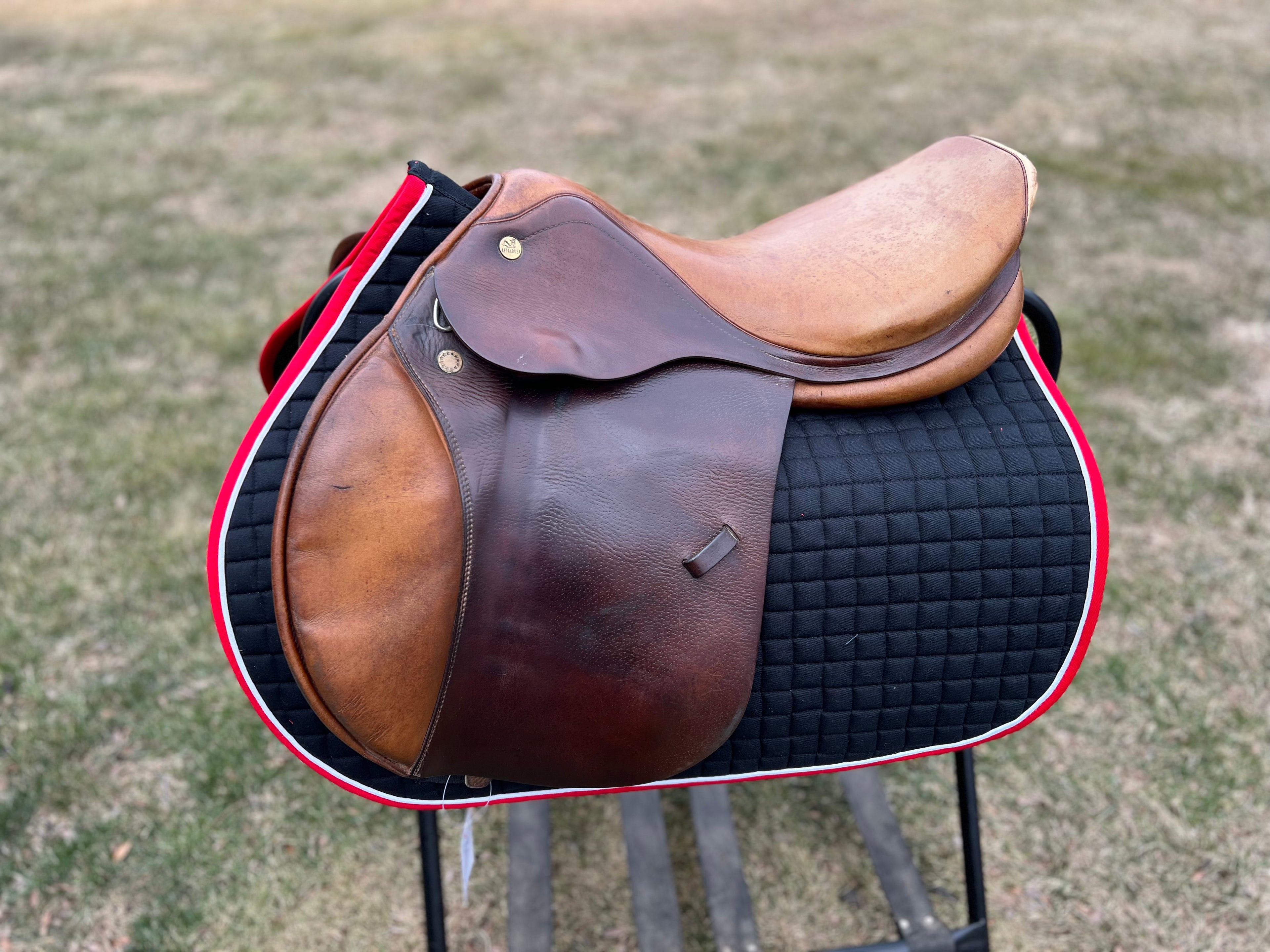 Prestige Appaloosa Michel Roberts 18”