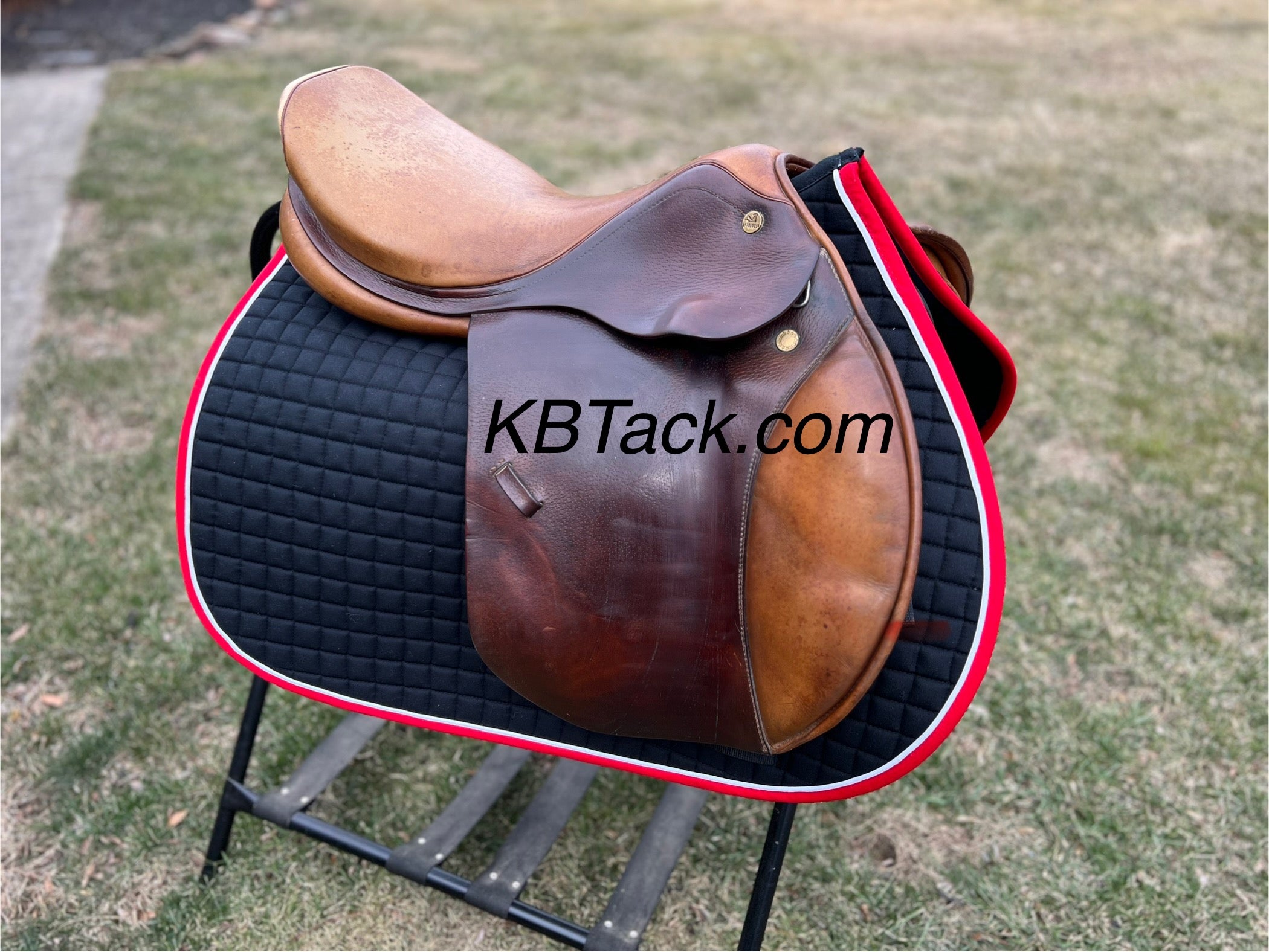 Prestige Appaloosa Michel Roberts 18”