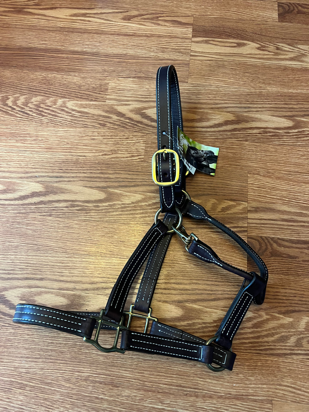 Perris horse halter