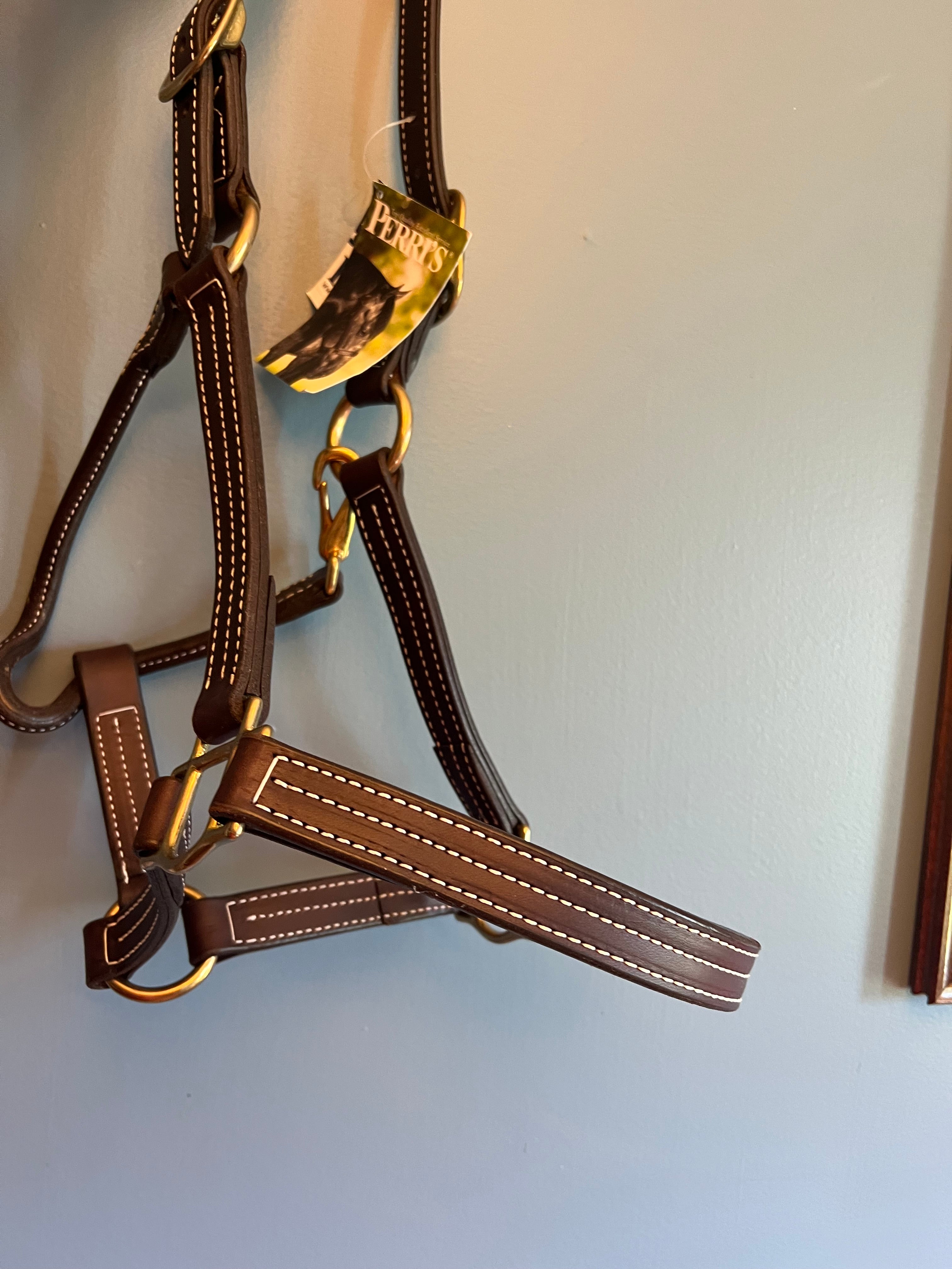 Perris horse halter