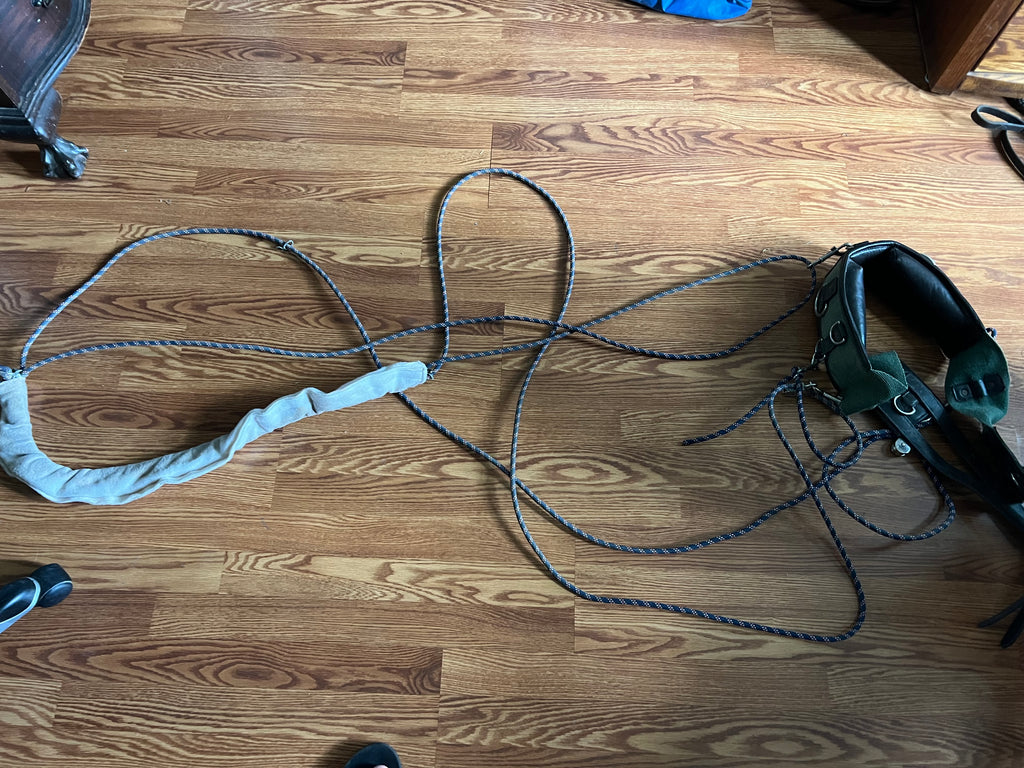 Horse lunging system