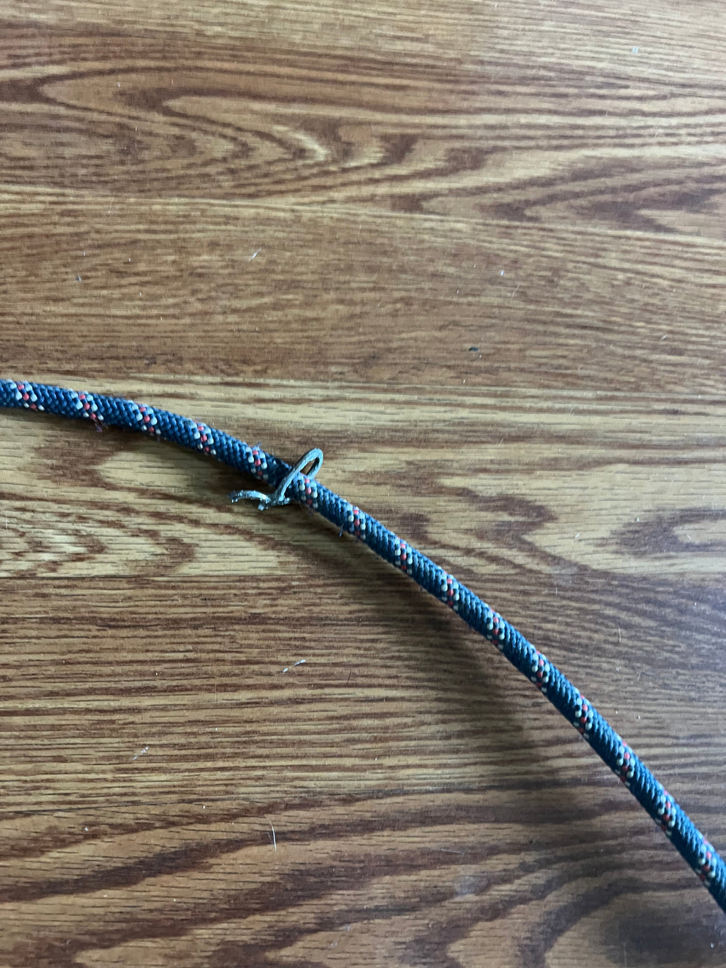 Horse lunging system