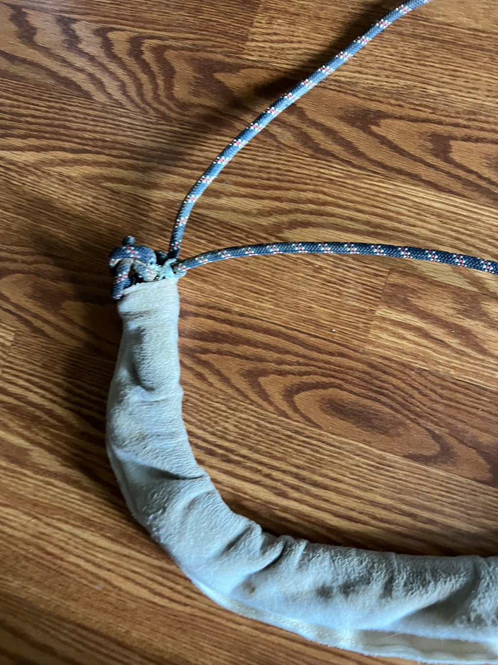 Horse lunging system