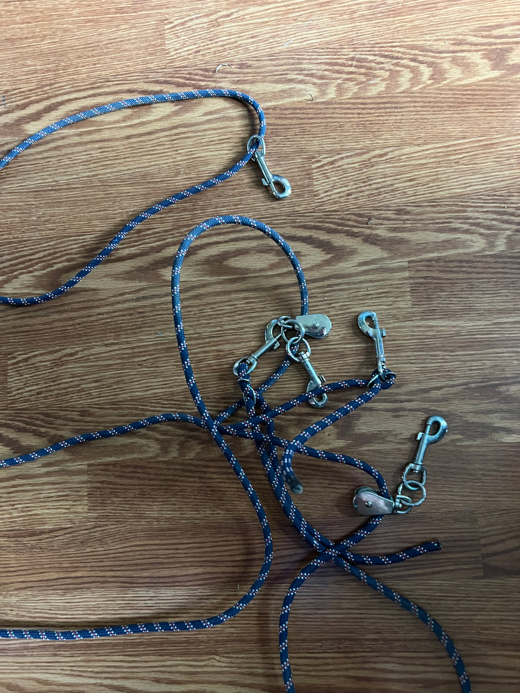 Horse lunging system