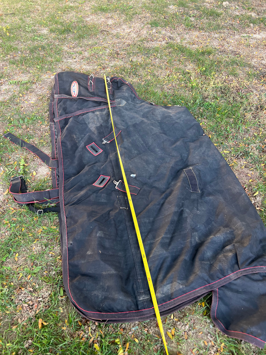 69" Bit-of-Britain turnout midweight