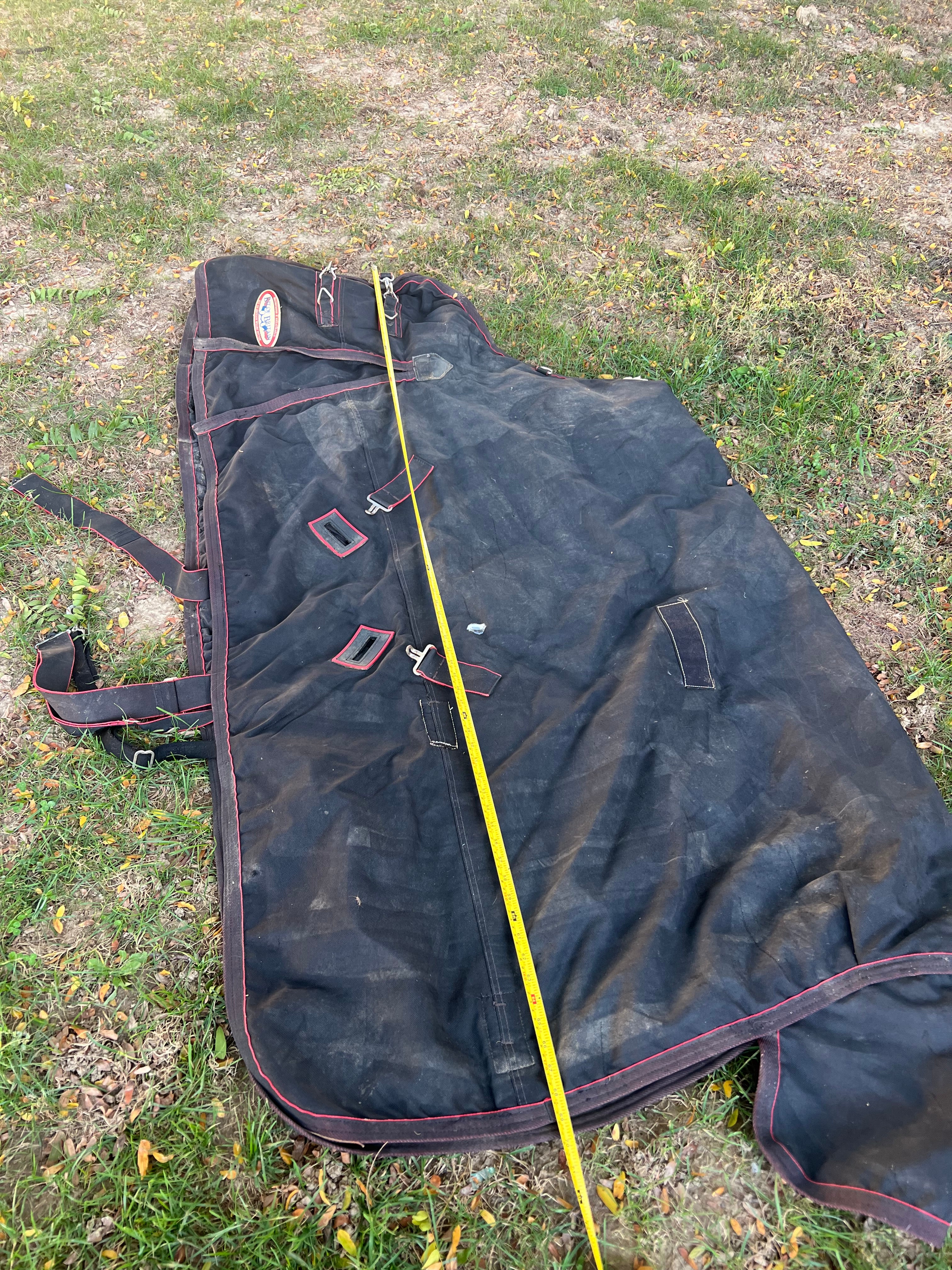 69" Bit-of-Britain turnout midweight