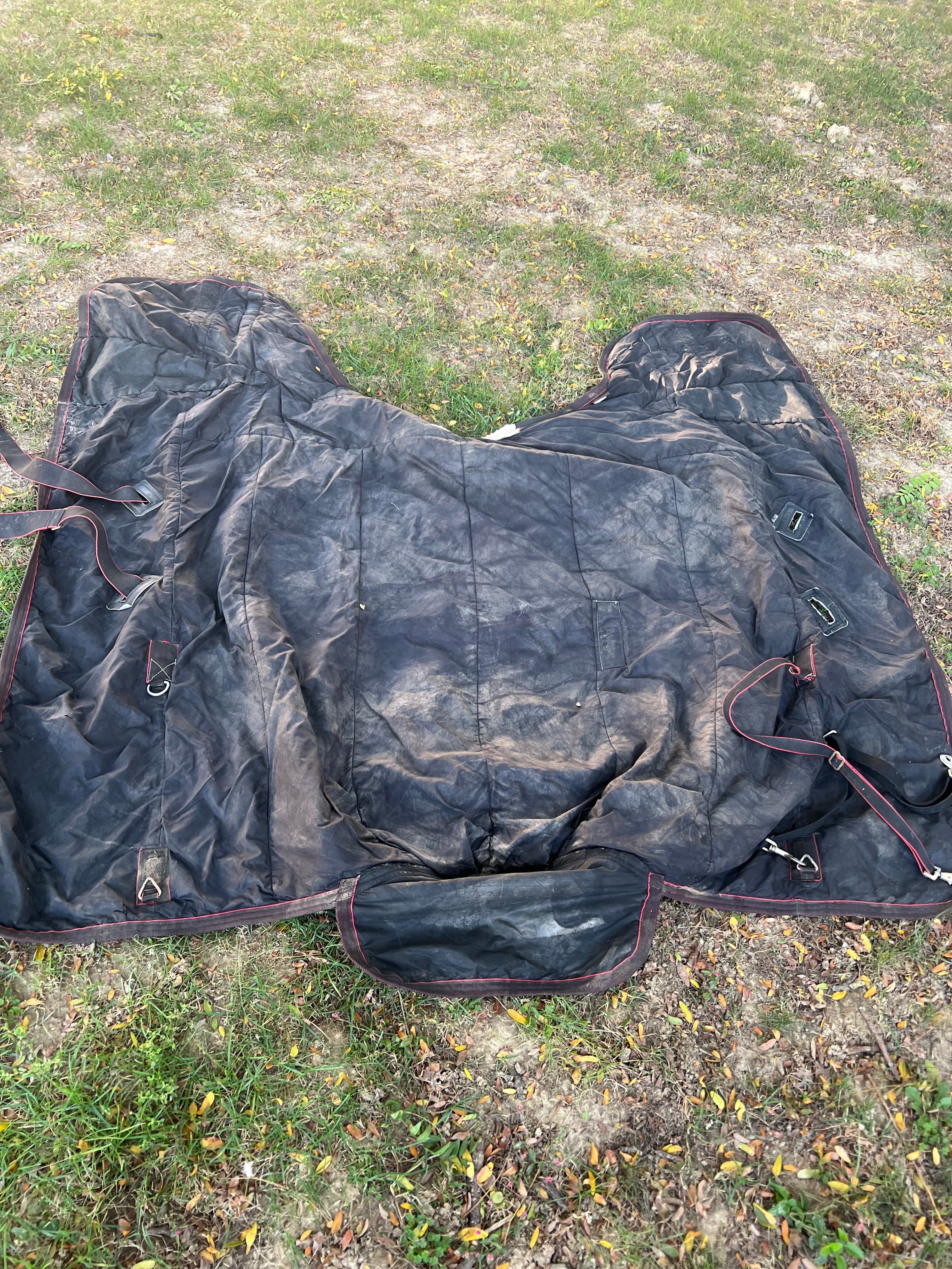 69" Bit-of-Britain turnout midweight