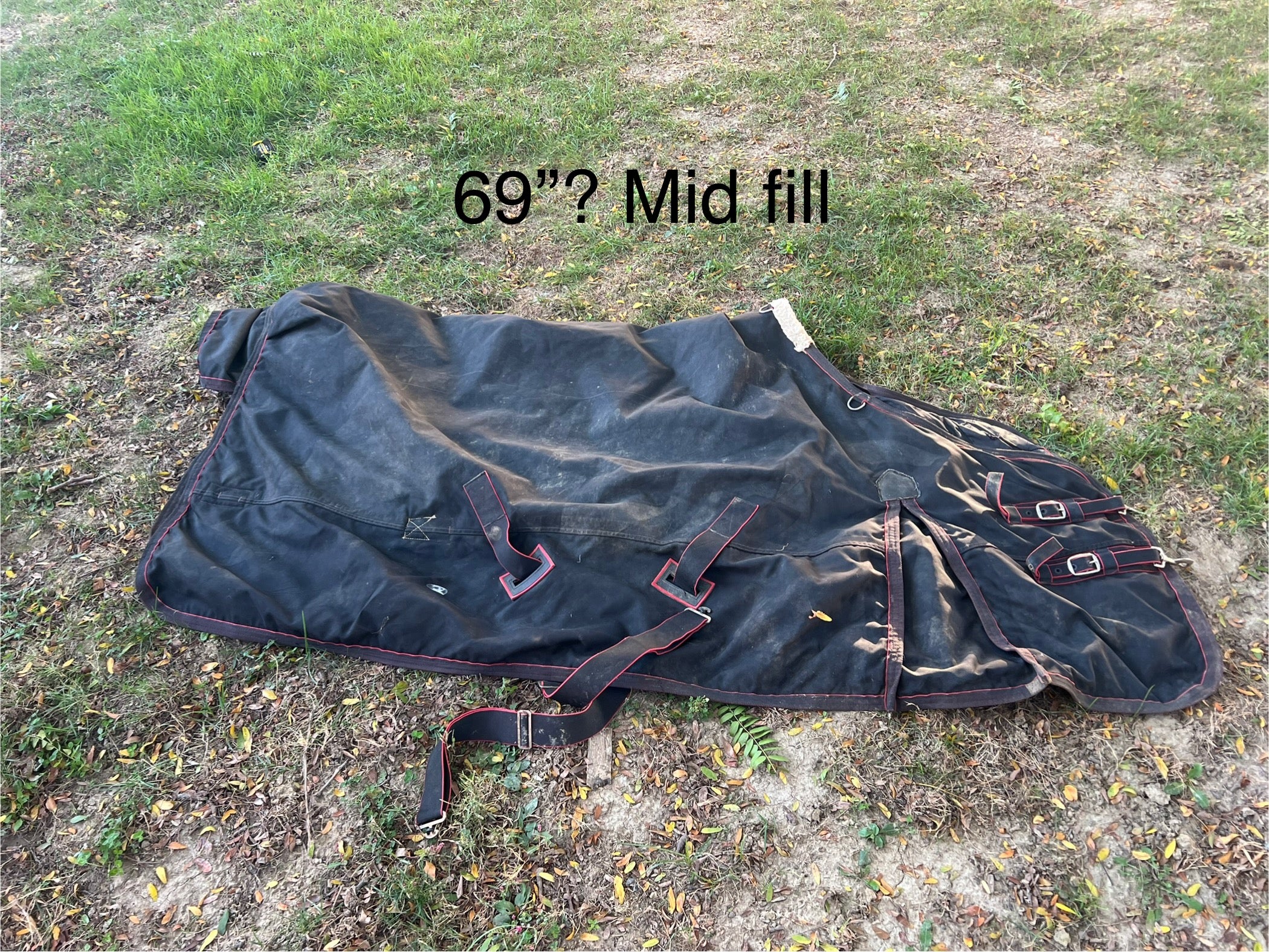 69" Bit-of-Britain turnout midweight