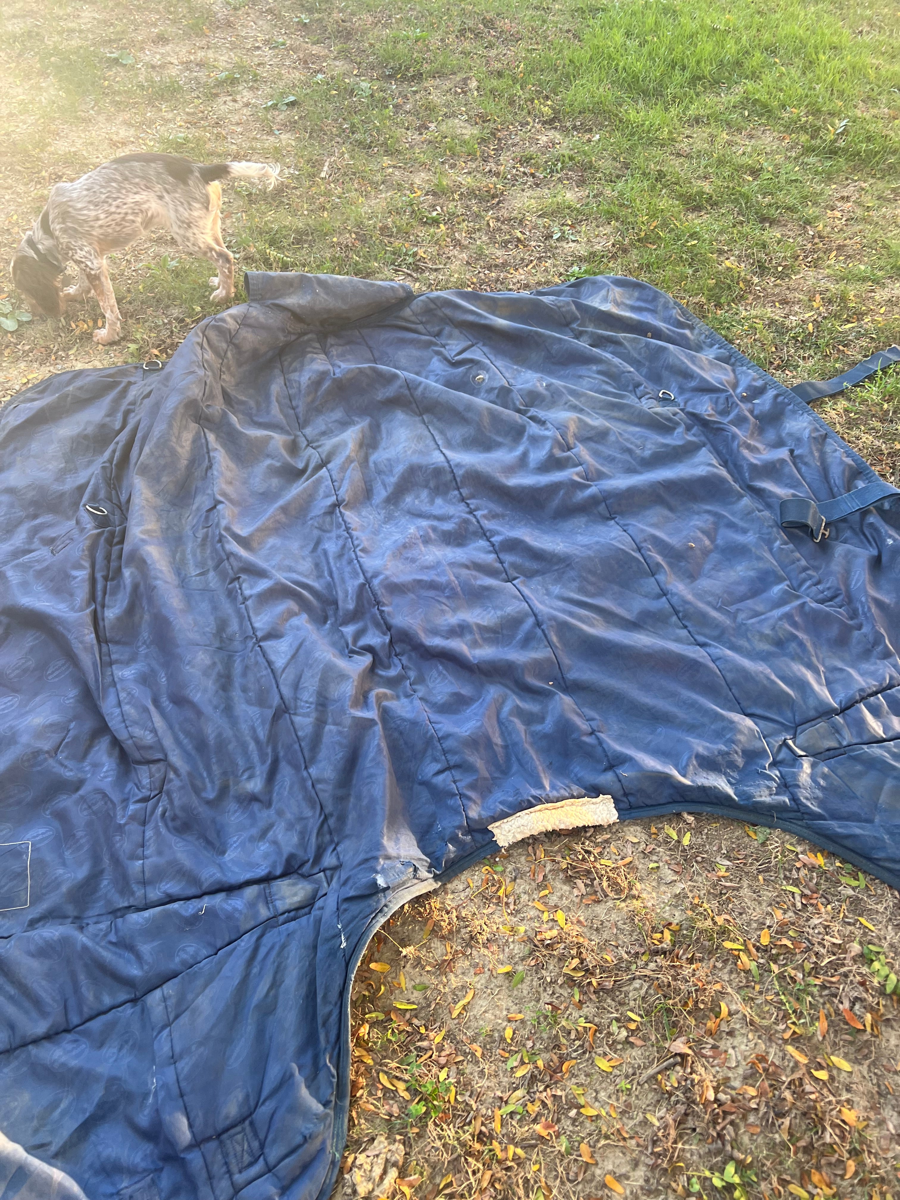 73" Weatherbeeta turnout Mid weight