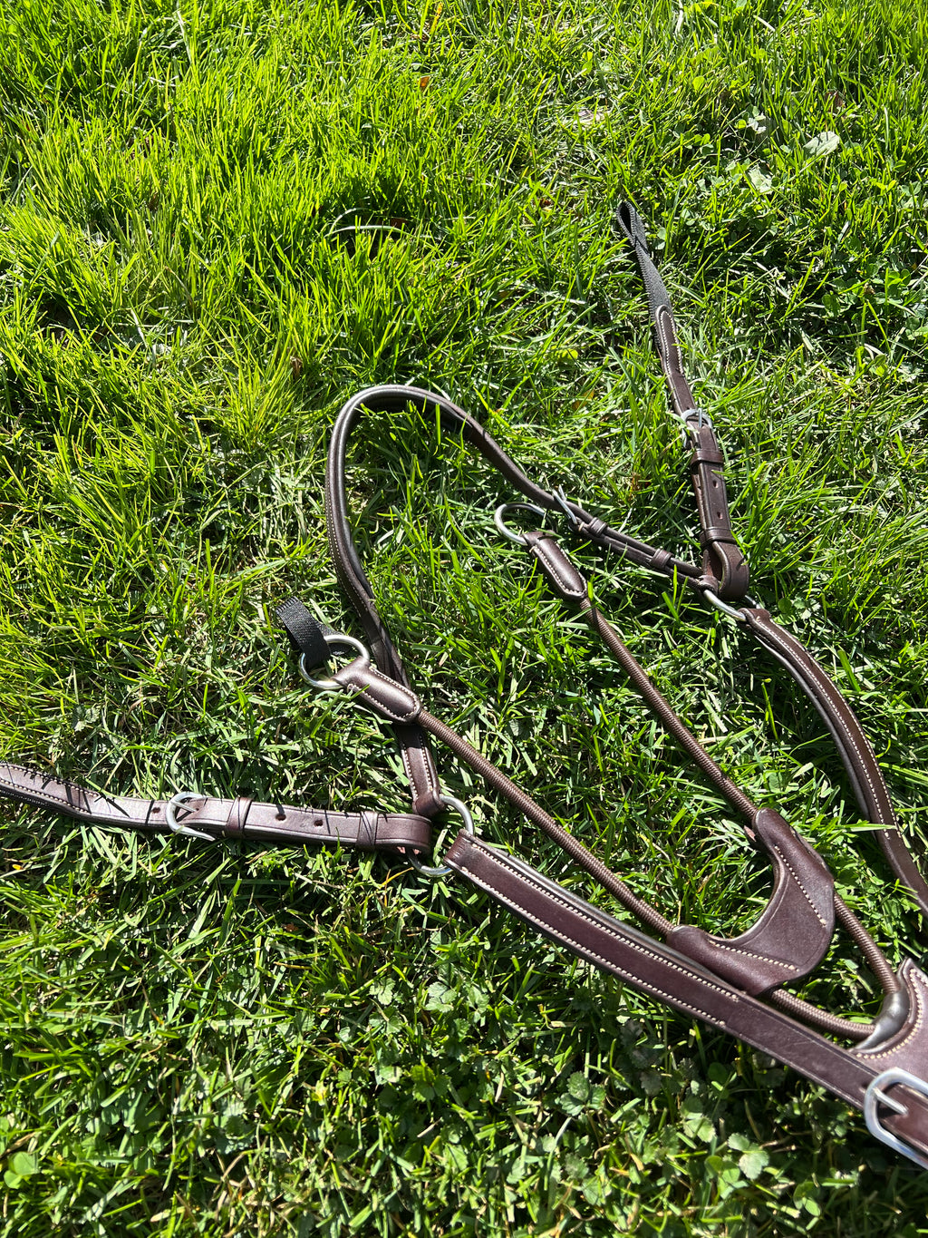 Ovation 3 way bridge breastplate with running martingale