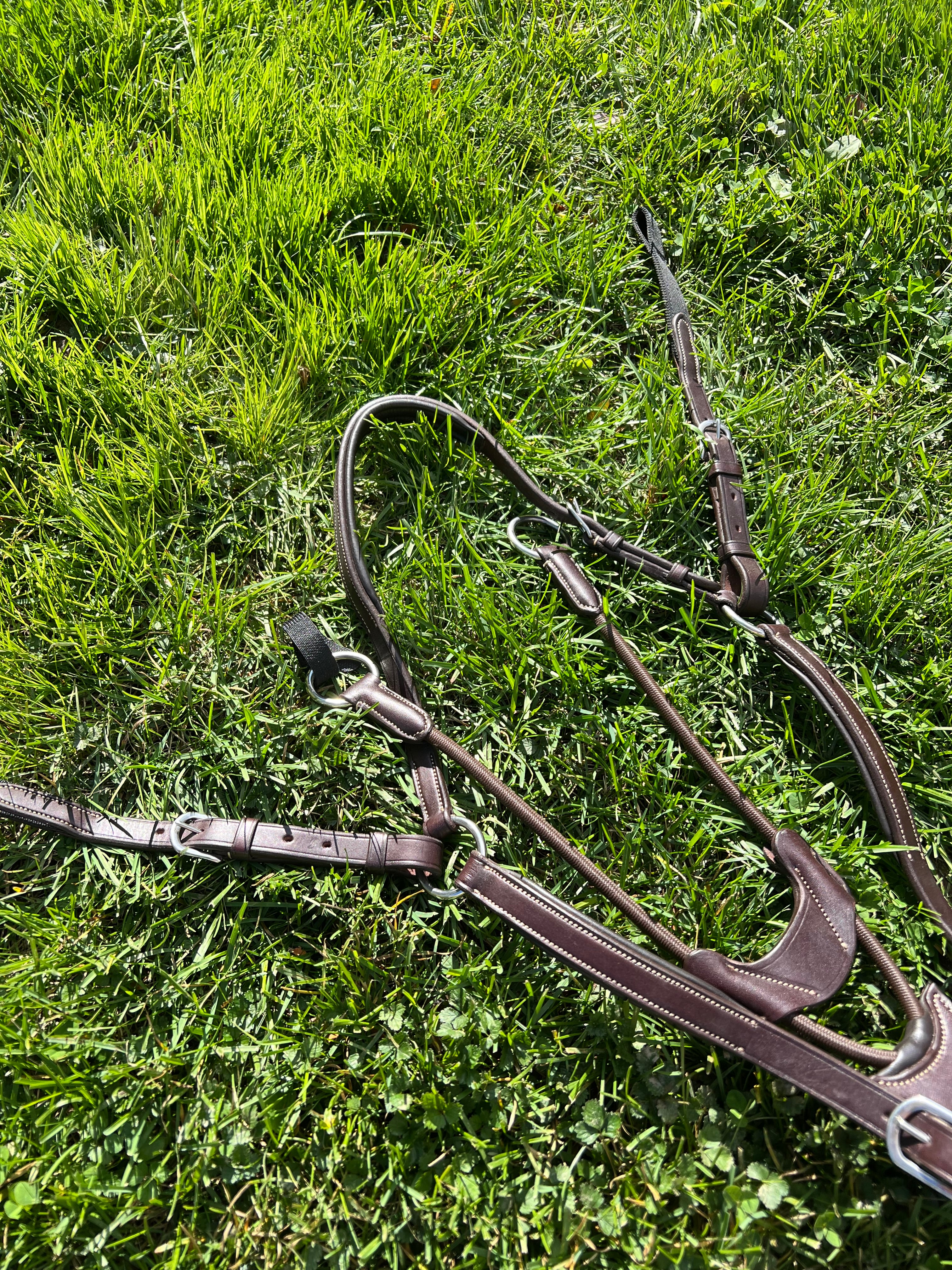 Ovation 3 way bridge breastplate with running martingale