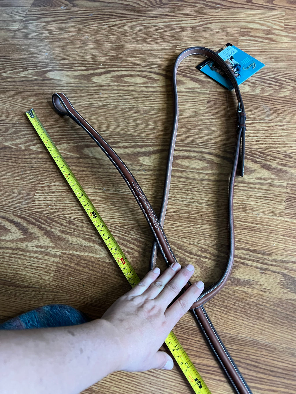 Pessoa Cob standing Martingale