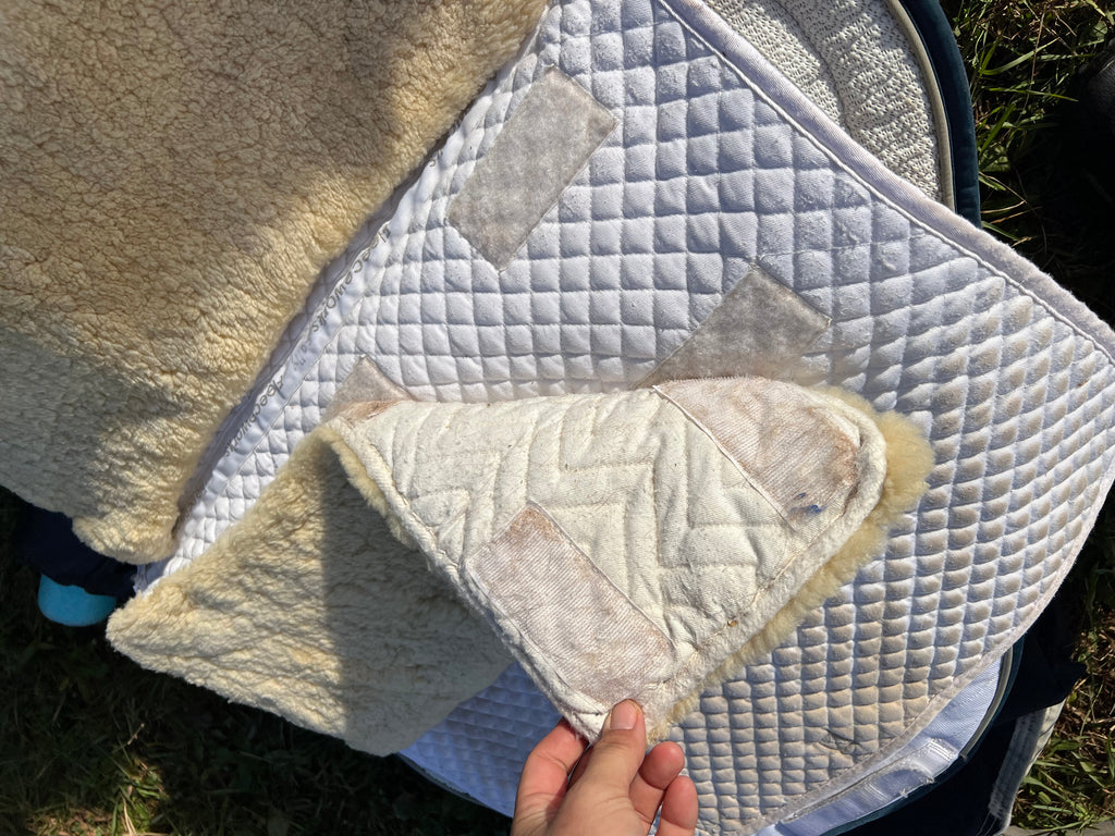 Fleeceworks Dressage Pad w/ removable sheepskin