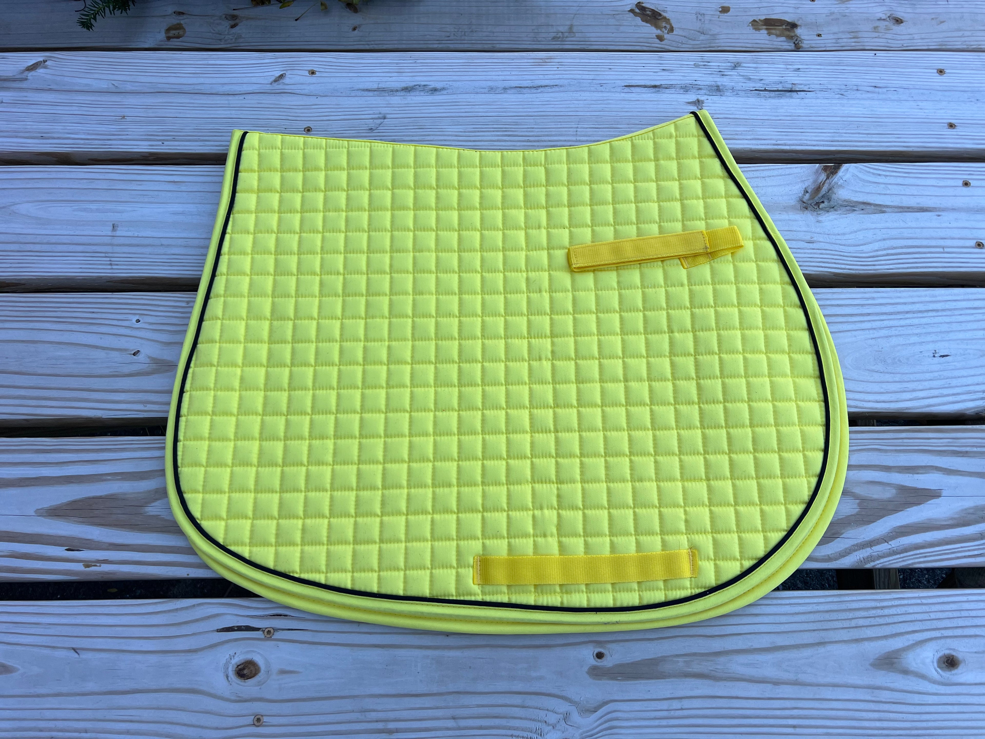 Pacific Rim International PRI all purpose saddle pad