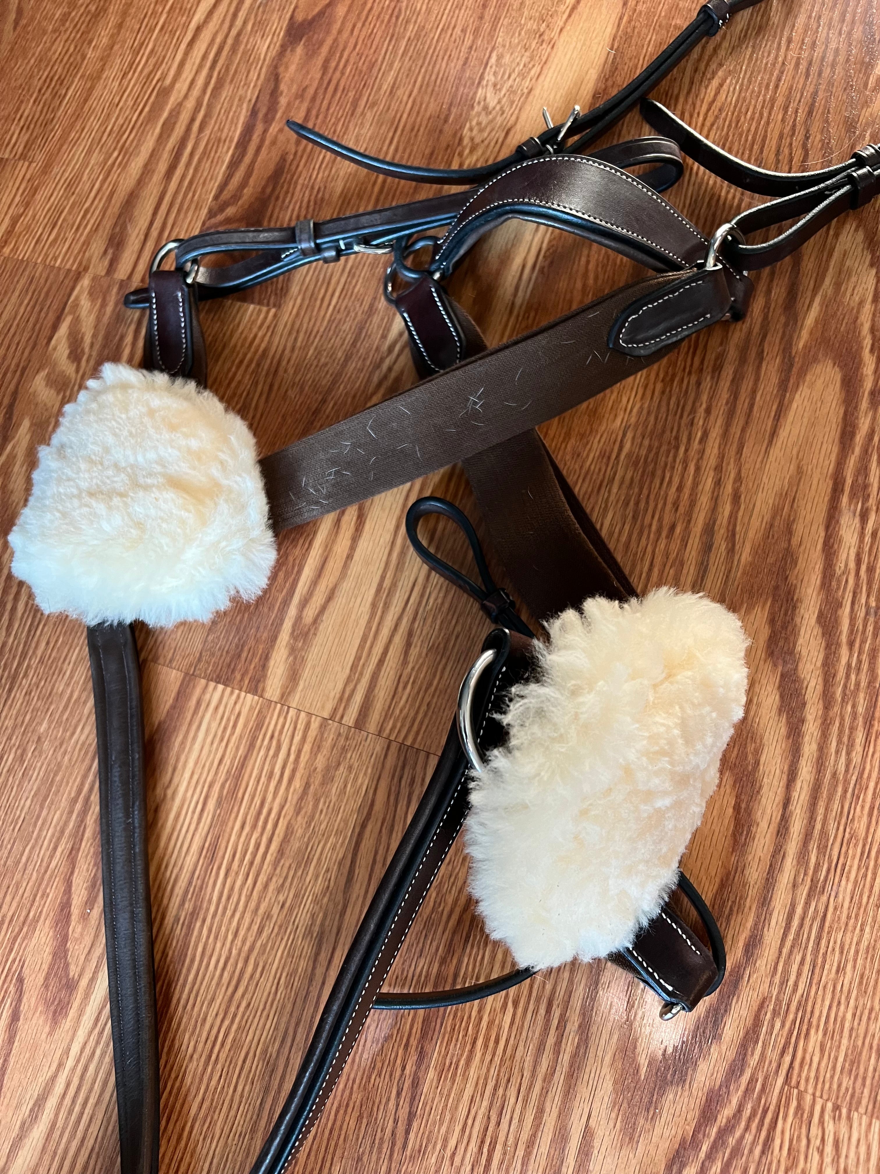 Dover 5 point breastplate FULL