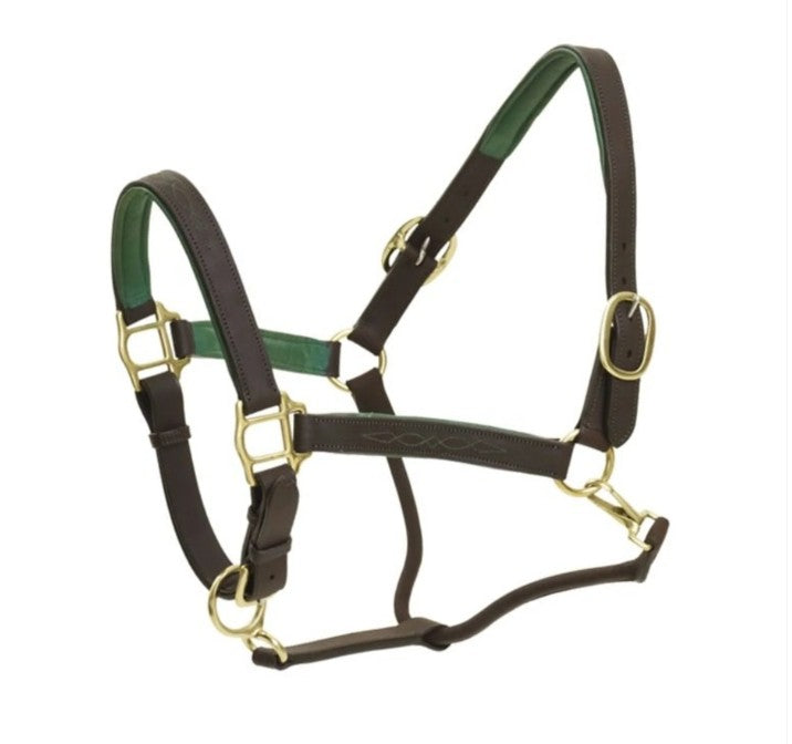 Ovation Richtan luxury padded leather halter