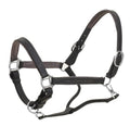 Ovation Richtan luxury padded leather halter