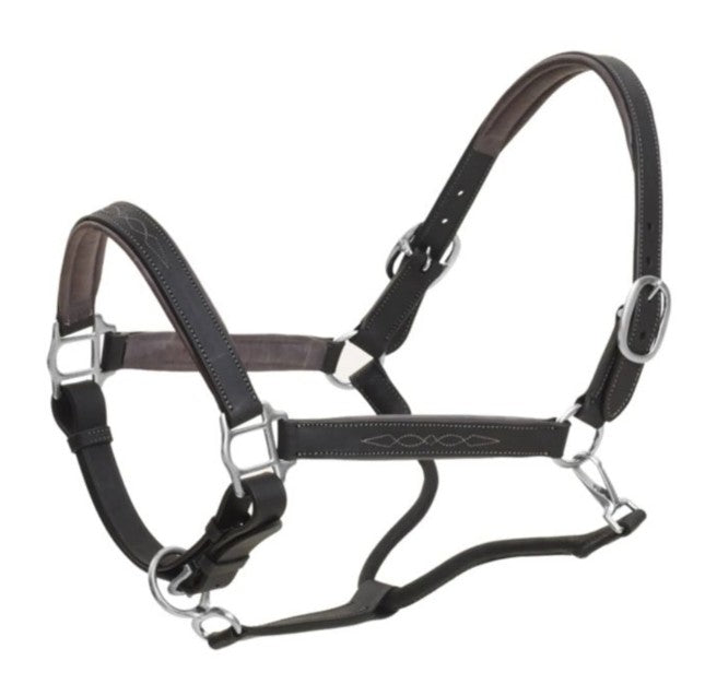 Ovation Richtan luxury padded leather halter