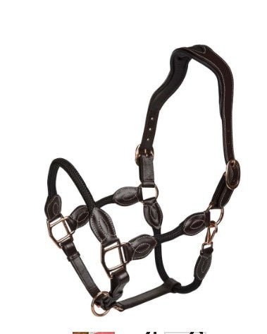 HDR Leather rope halter
