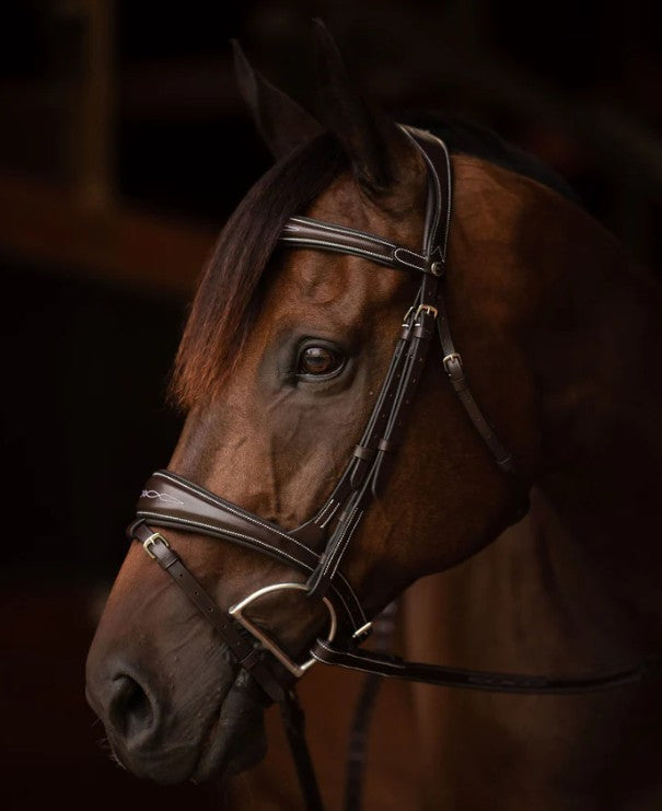 Henri de rivel Jamaika Pro Anatomical Fancy Raised Wide Flash Noseband Bridle with Raised laced reins